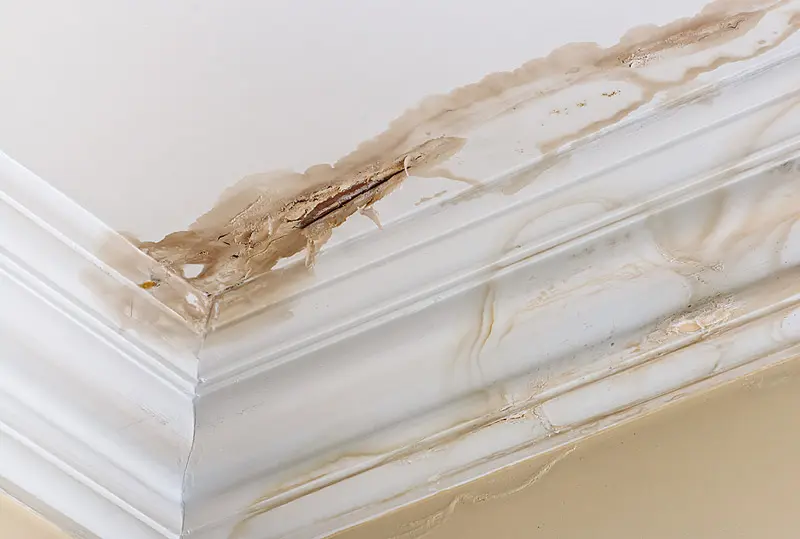 Water damage on a ceiling.