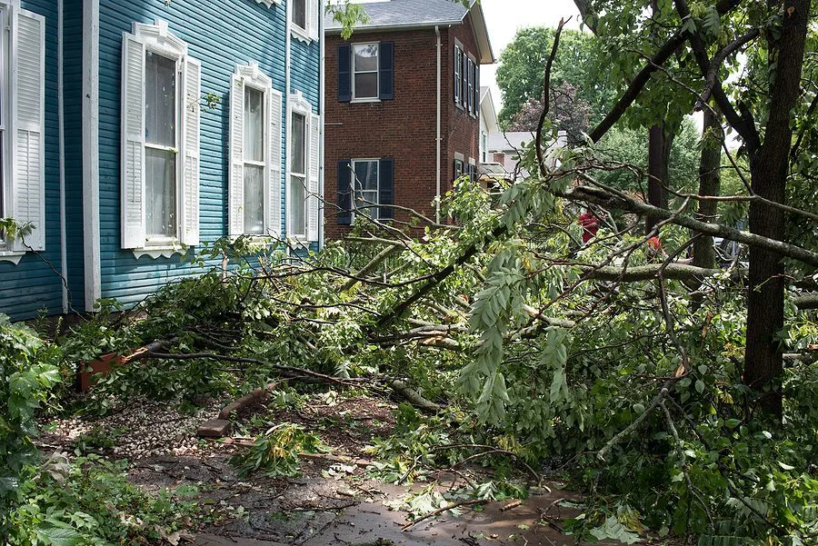 How to Navigate Your Roof Insurance Claim After a Storm