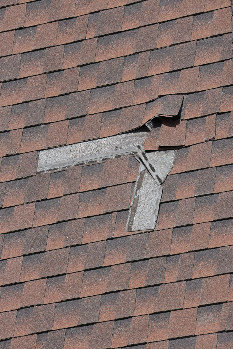 Damage to Asphalt roof. 